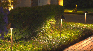 Landscape Lighting