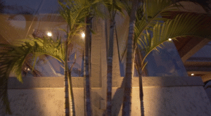 Landscape Lighting